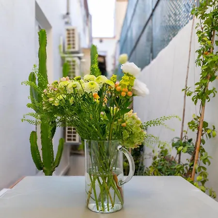 Apartment Cozy Flat With Terrace *